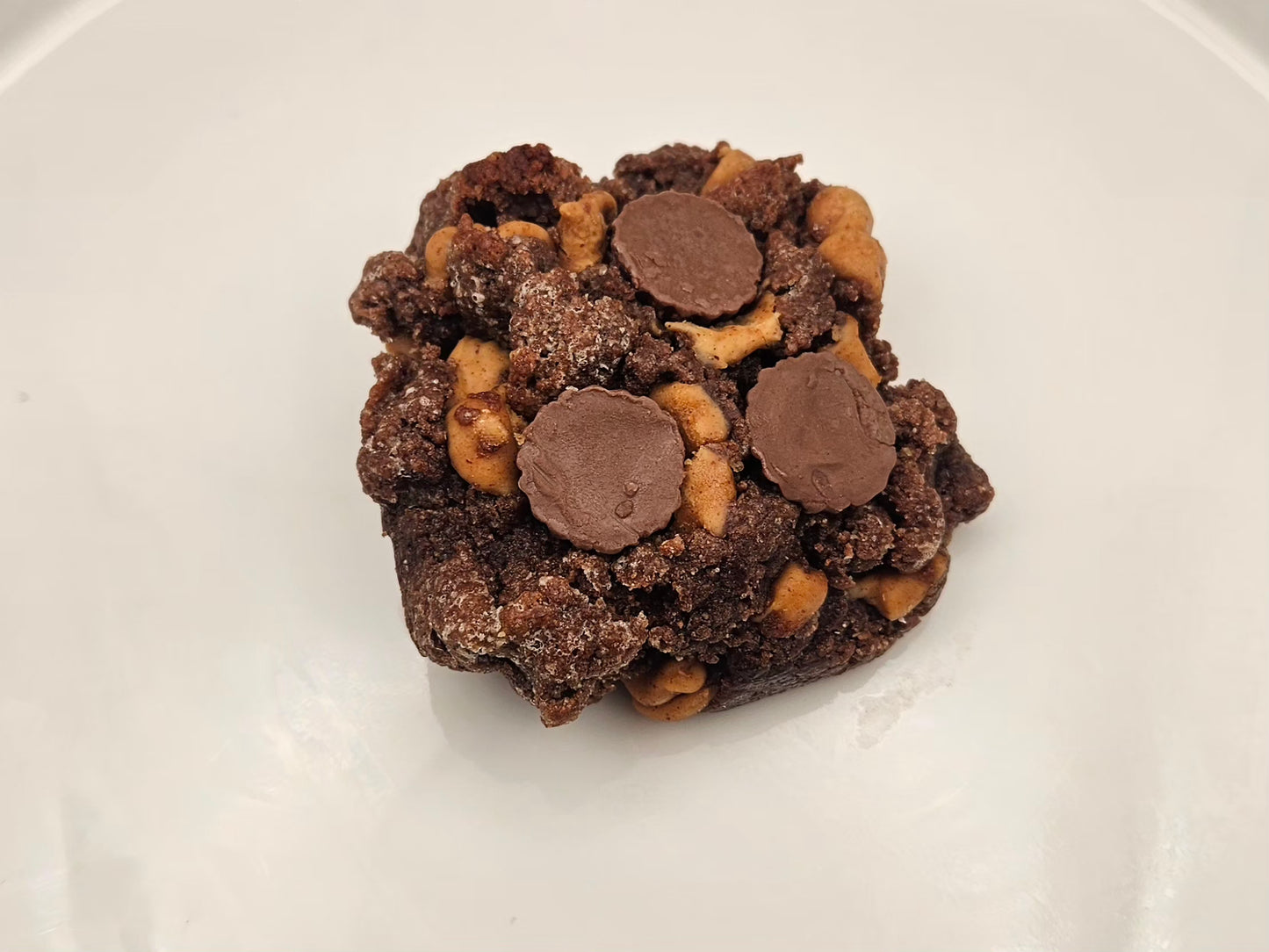 Chocolate Peanut Butter Cookie